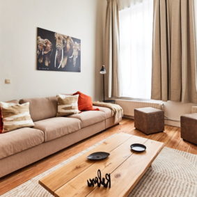 lovely living room decorated with taste in a fully refurbished coliving space in brussels
