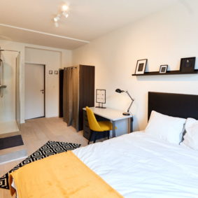 double bed room in a sunny style with private shower in a flatshare in Brussels