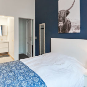 spacious room including a comfortable double bed and a private shower in a shared house in Brussels