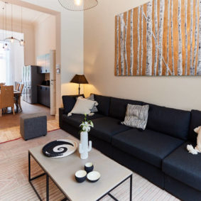 well designed and comfortable living room in a fully refurbished renting house in Brussels