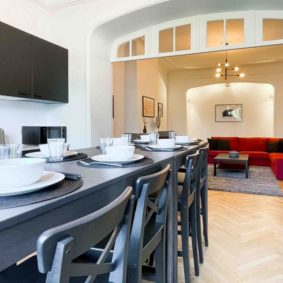 lovely living room decorated with taste in a fully refurbished coliving space in brussels with young international workers